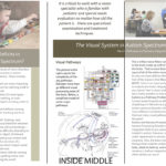 Step by Step to fold the autism brochure