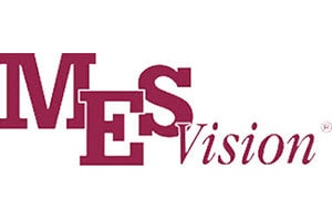 MES Vision Logo