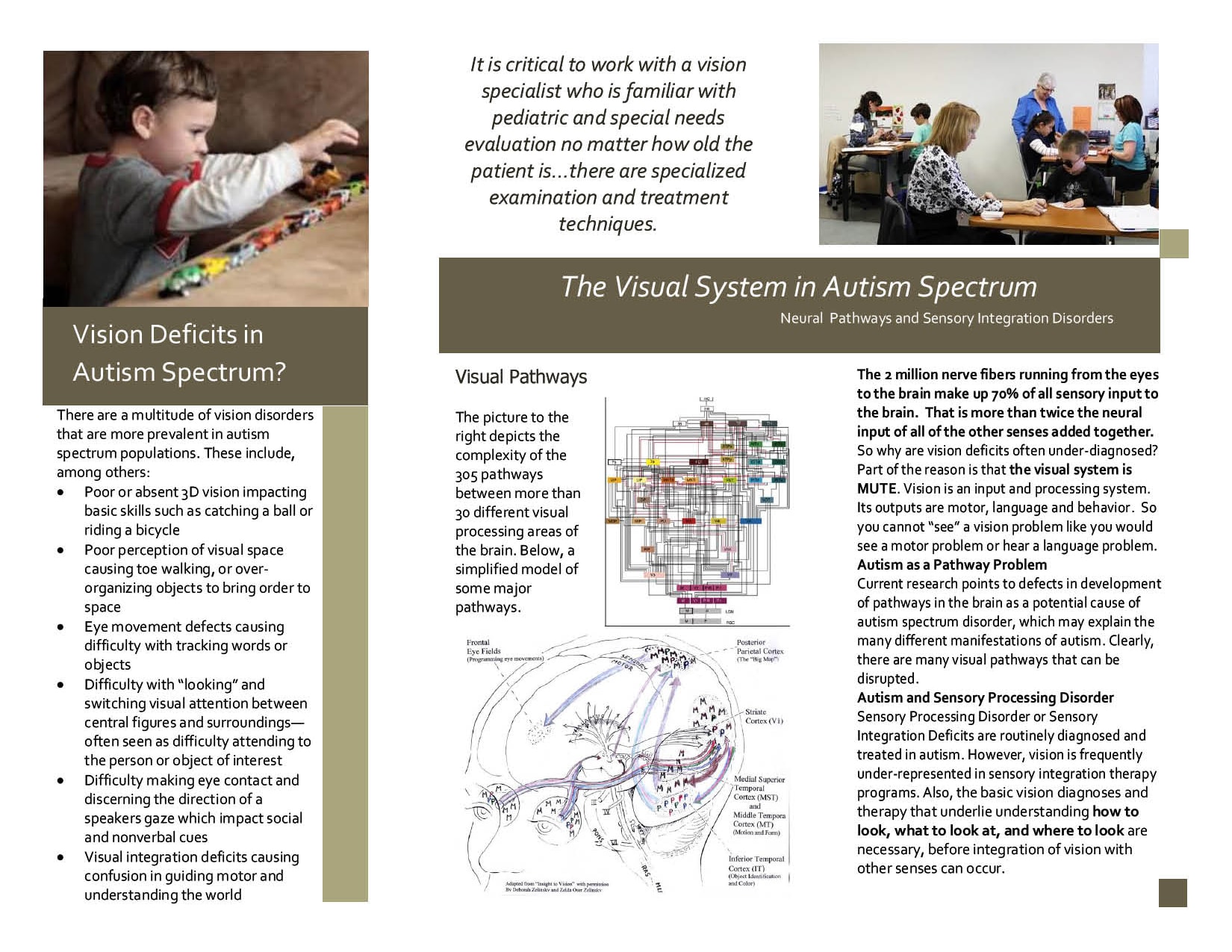 3774-A_Autism Brochure2